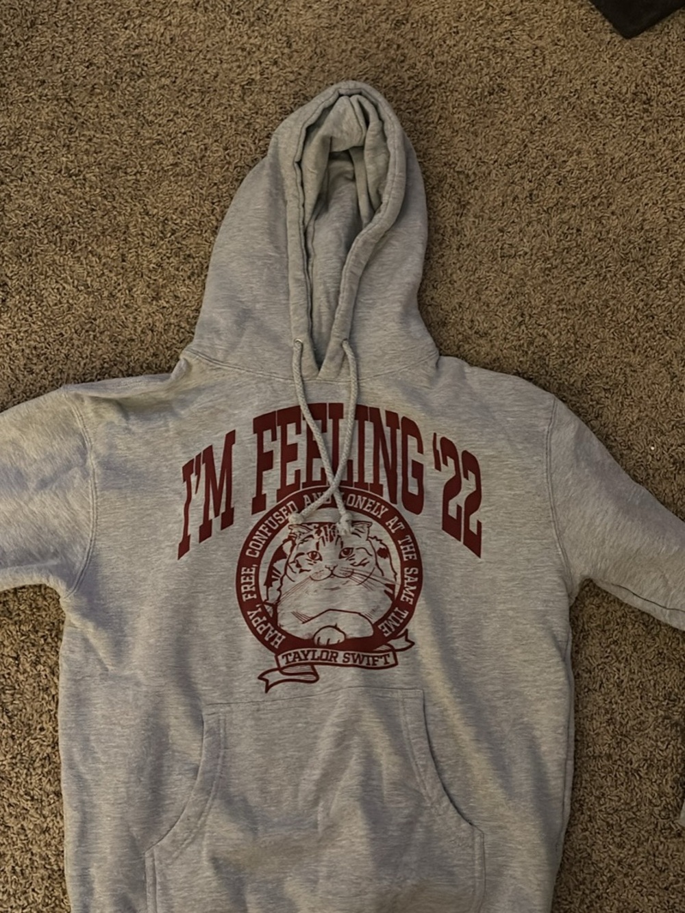 Taylor Swift Gray Hoodie with Red 'I'm Feeling '22' Cat Graphic